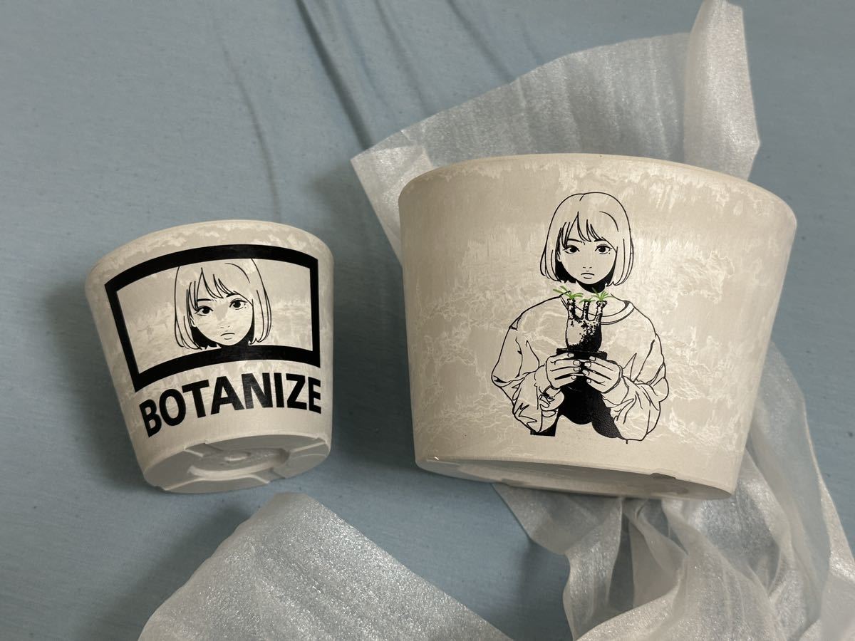 新品未使用 Backside works. × BOTANIZE ポットセット 鉢 ボタナイズ バックサイドワークス プラ鉢 植木鉢_画像1