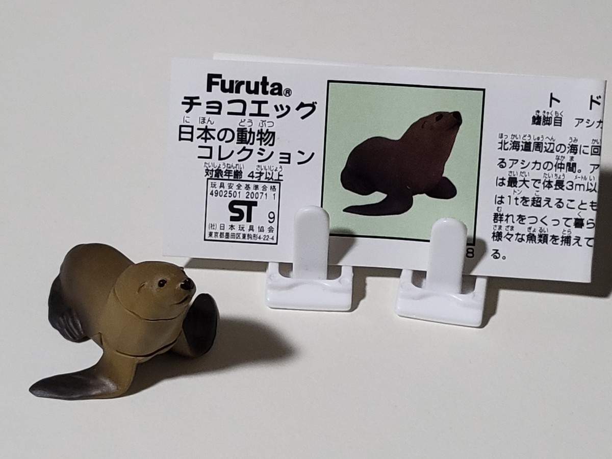 【美品】チョコエッグ 日本の動物コレクション 第3弾 トド 解説書付き フィギュア の画像1