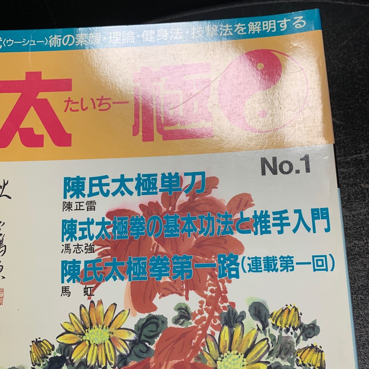 太極No.1◆特集 陳氏太極拳/陳氏太極単刀/陳式太極拳の基本功法と推手入門_画像7