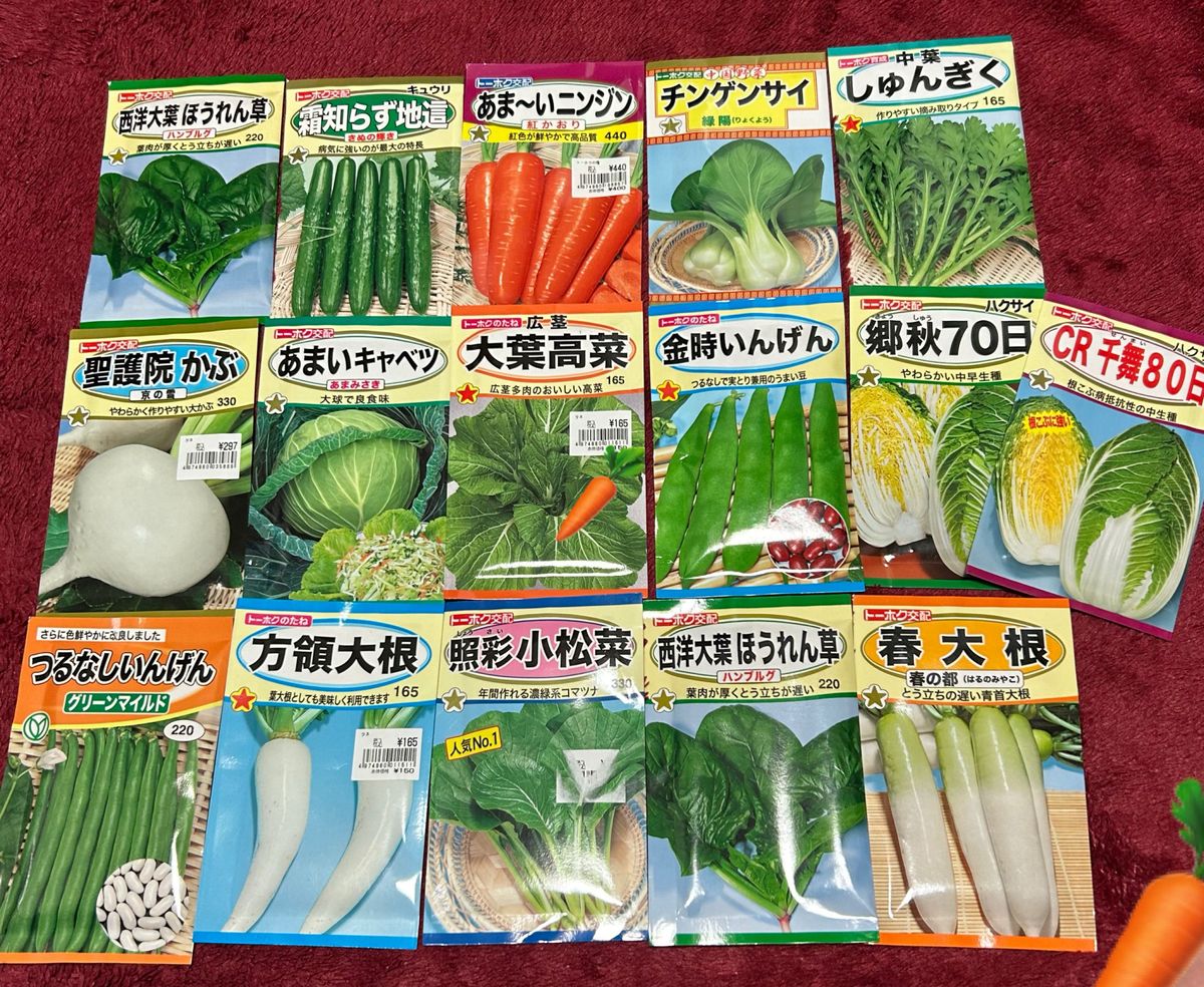 野菜の種　白菜2種