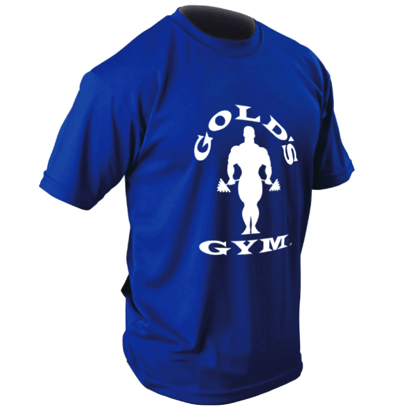 新品未開封　GOLD GYM ゴールドジム★Tシャツ★ブルー★L　送料無料