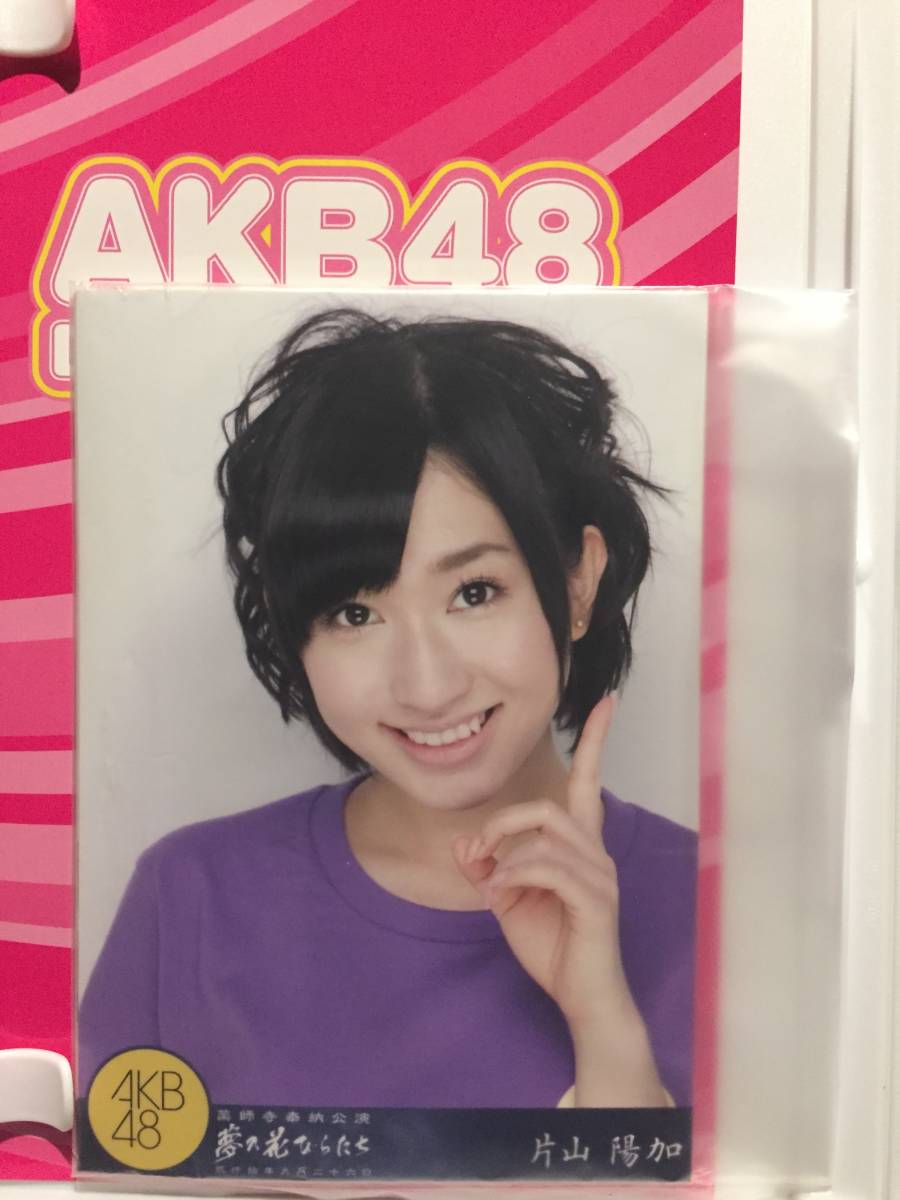 中古DVD AKB48 DVD Magazine vol.06 AKB48 薬師寺奉納公演2010 「夢の花びらたち」 生写真5枚付き 世界遺産 クリックポスト発送等_生写真5枚付きです