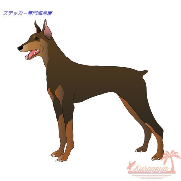 高品質　犬のステッカー　リアルタッチ　ドーベルマン_画像1