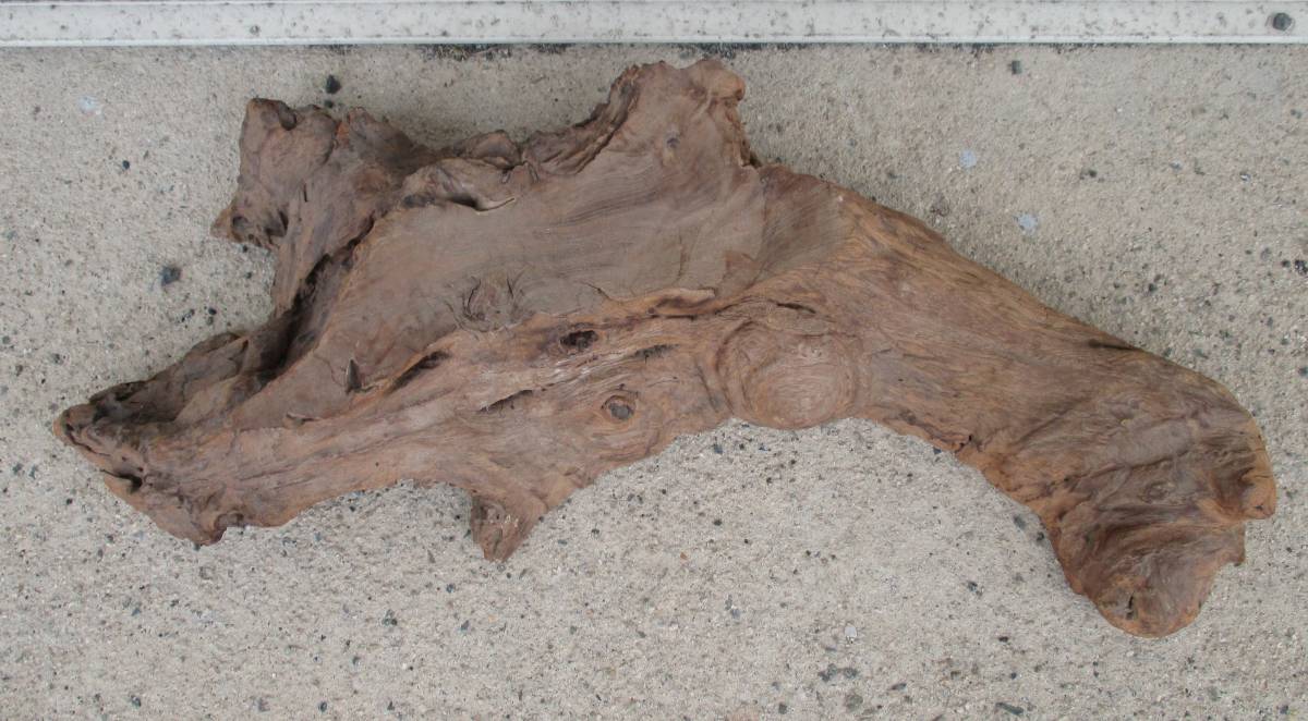 木製 幅約57cm 瘤 天然木 飾り木 花台 飾り台 盆栽台 香炉台_画像1
