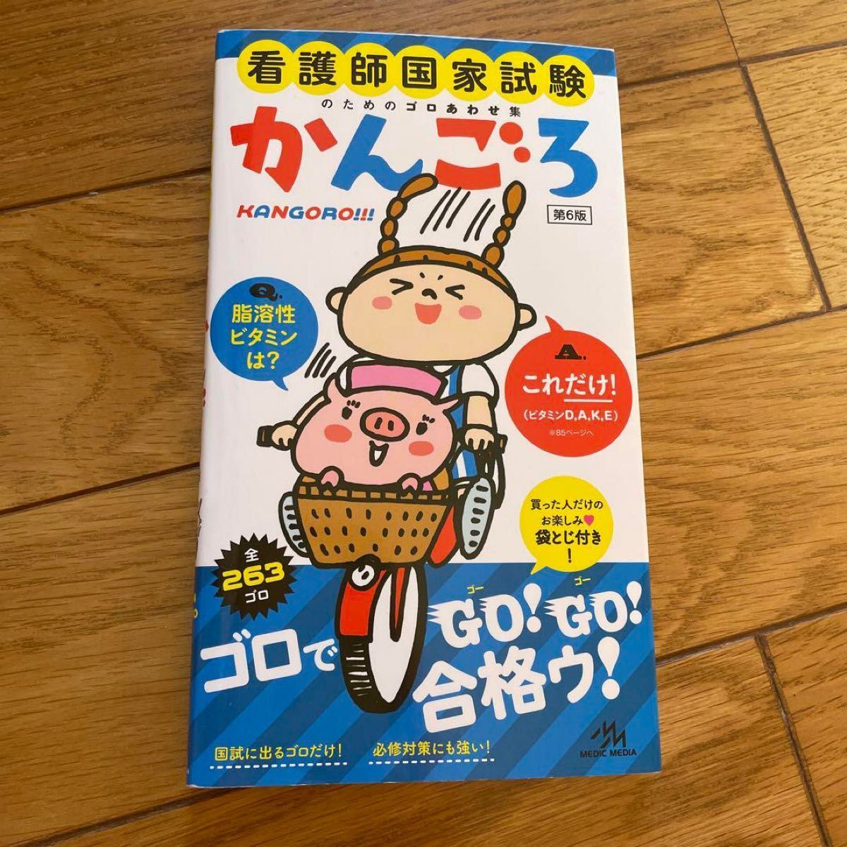 看護師国家試験のためのゴロあわせ集 かんごろ - 語学・辞書・学習参考書