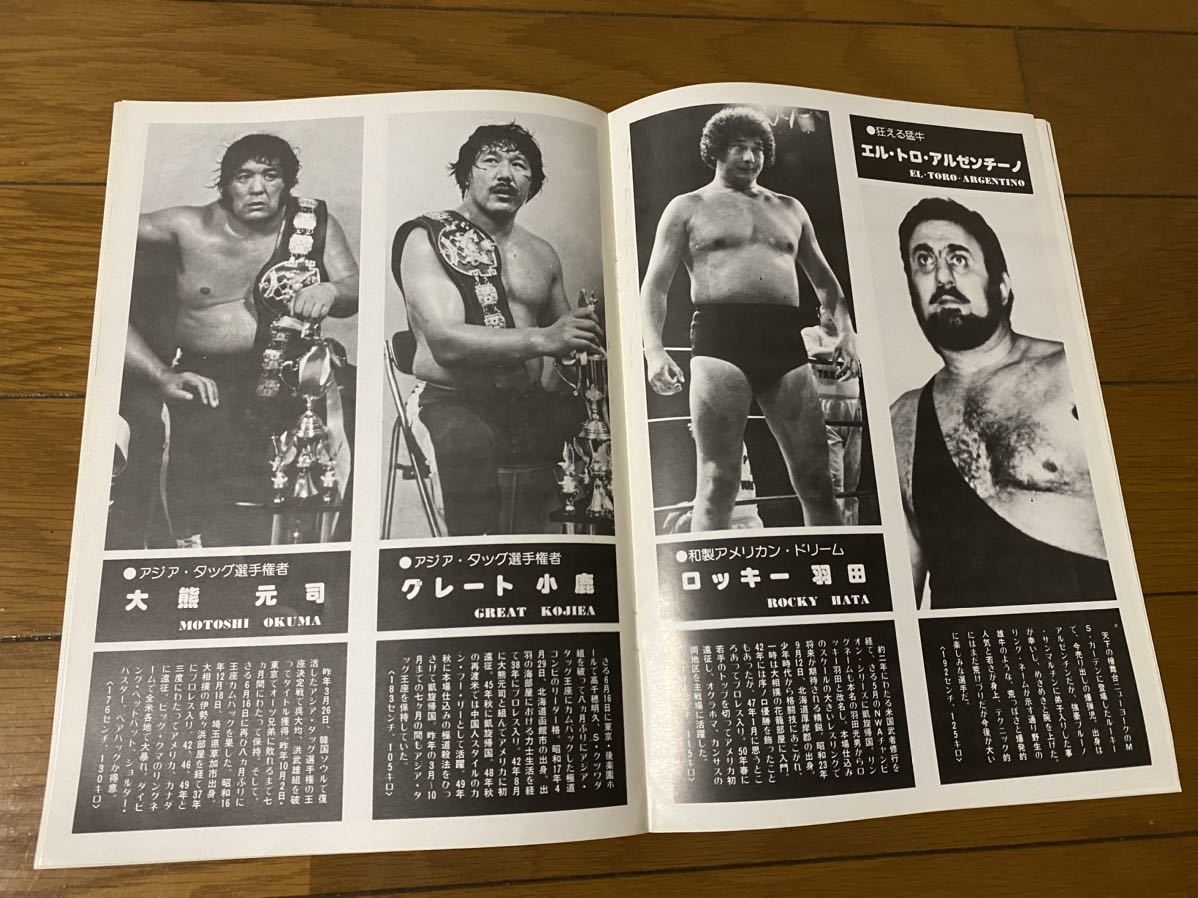 全日本プロレス 77第一次サマーアクションSのパンフレットの画像8