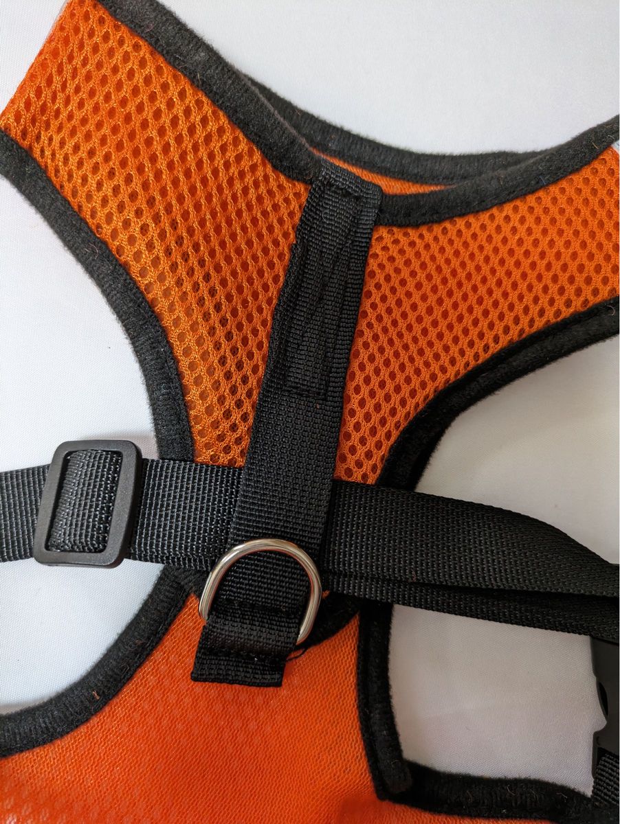 XL オレンジ リード付き ハーネス 散歩 首輪 胴輪 ペット メッシュ 犬猫兼用
