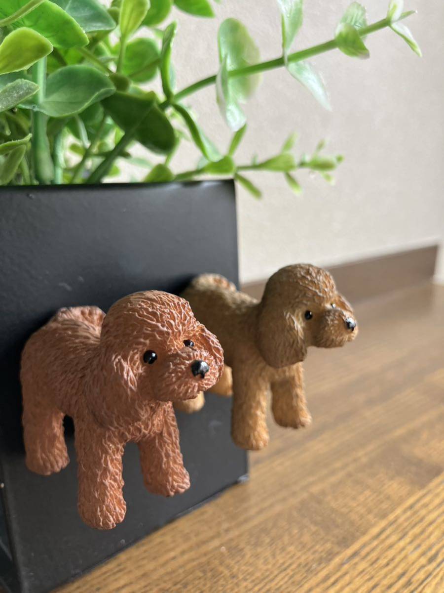 かわいい犬のおしりマグネット♪ トイプードル トイプー レッド＆アプリコット ２個セット 犬のフィギュアマグネットの画像2