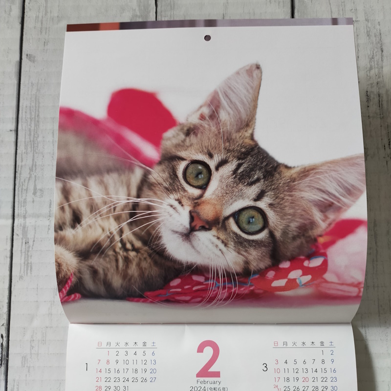壁掛けカレンダー 2024　cat calendar　24×17cm　名入れ　猫ちゃん　子猫_画像4