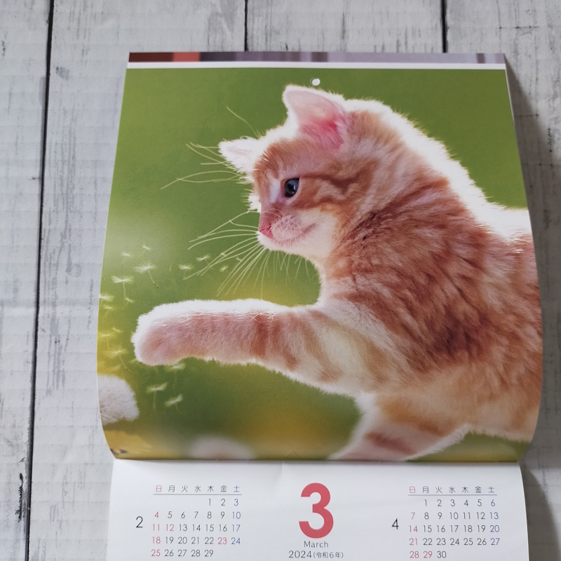 壁掛けカレンダー 2024　cat calendar　24×17cm　名入れ　猫ちゃん　子猫_画像5