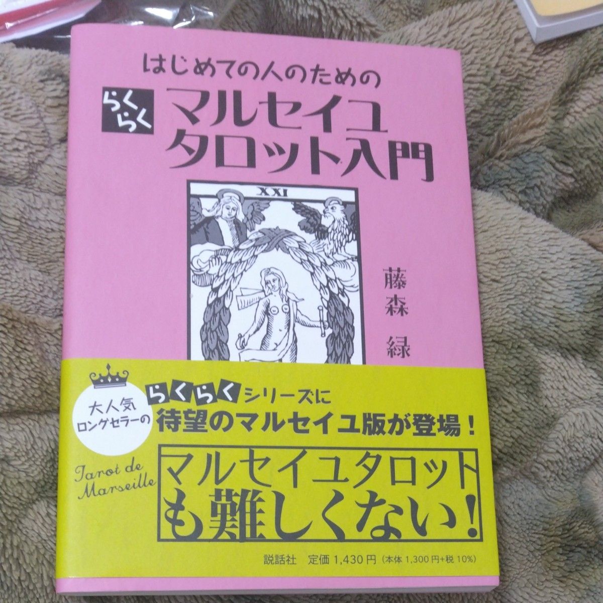 はじめての人のためのらくらくマルセイユタロット入門（藤森　緑）