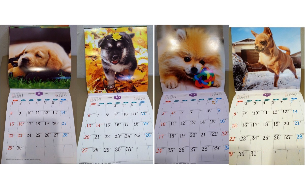 2024年　犬　壁掛けカレンダー　THE DOGS _画像4