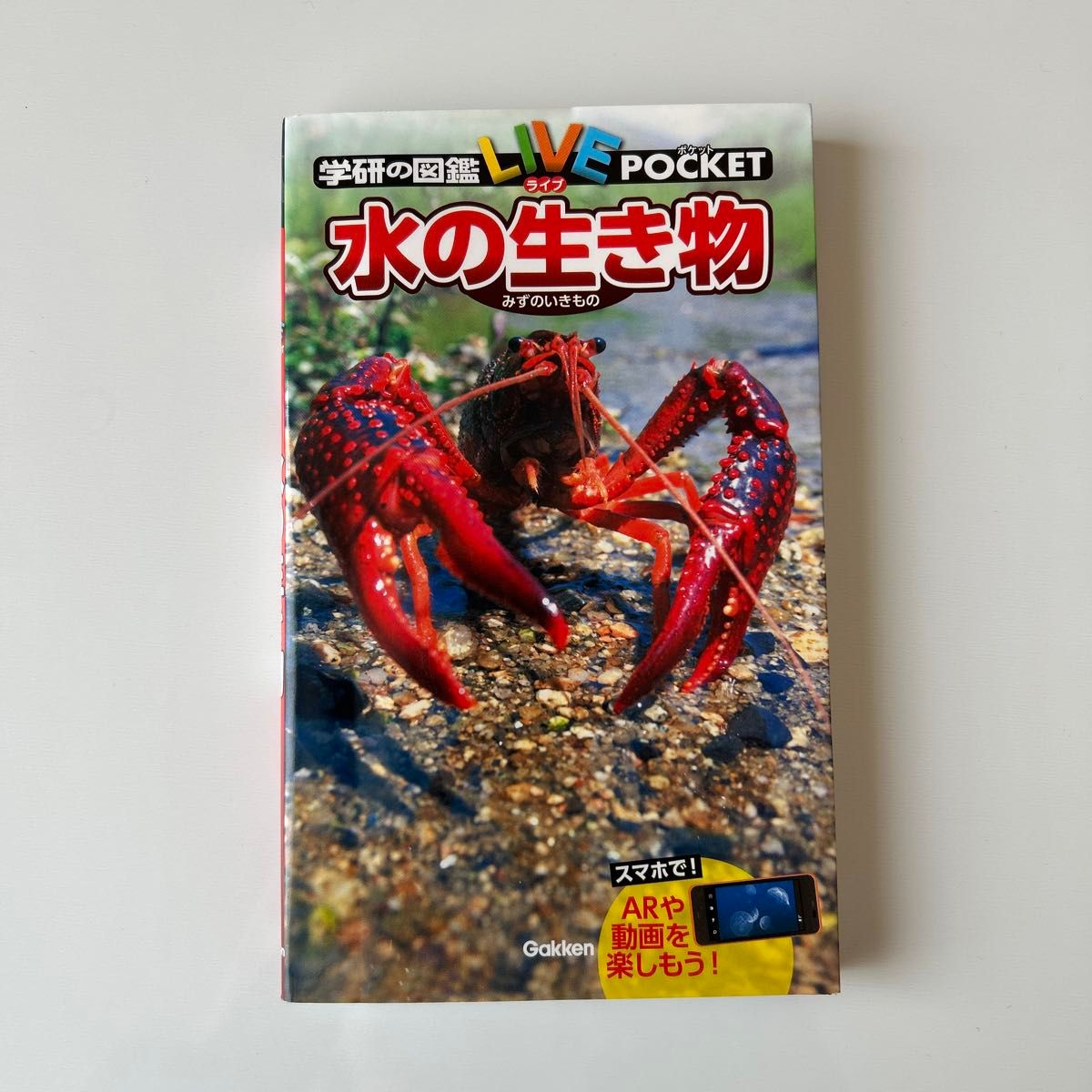 学研の図鑑LIVE POCKET 13 水の生き物|Yahoo!フリマ(旧PayPay 学研の図鑑LIVE POCKET 13 水の生き物|Yahoo!フリマ(旧PayPay