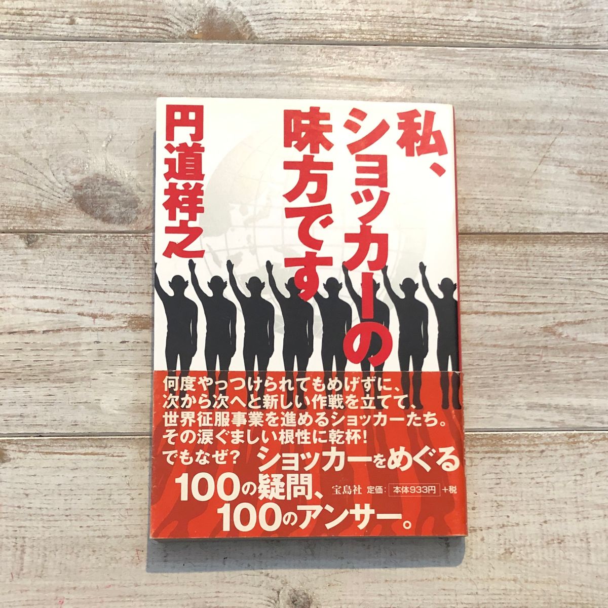 私、ショッカーの味方です