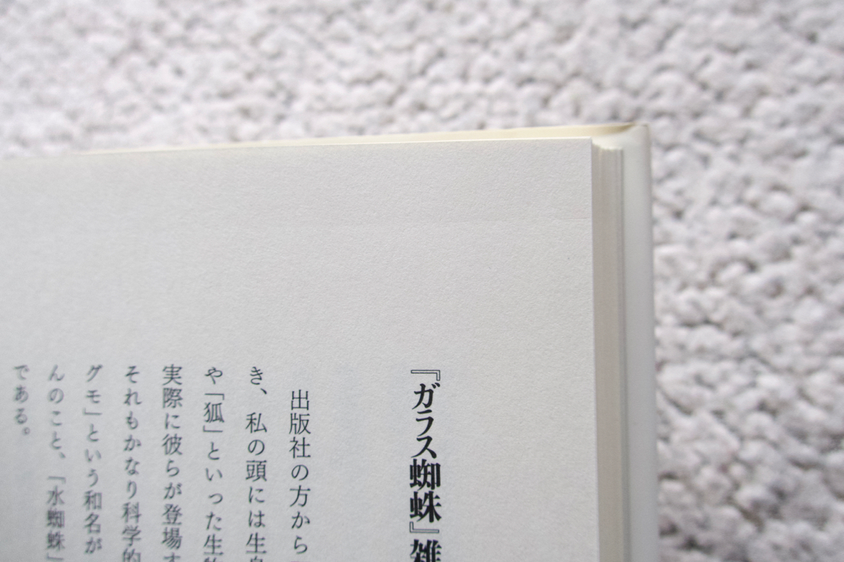 ガラス蜘蛛 (工作舎) モーリス・メーテルリンク、杉本秀太郎 解説、高尾歩 訳_画像9