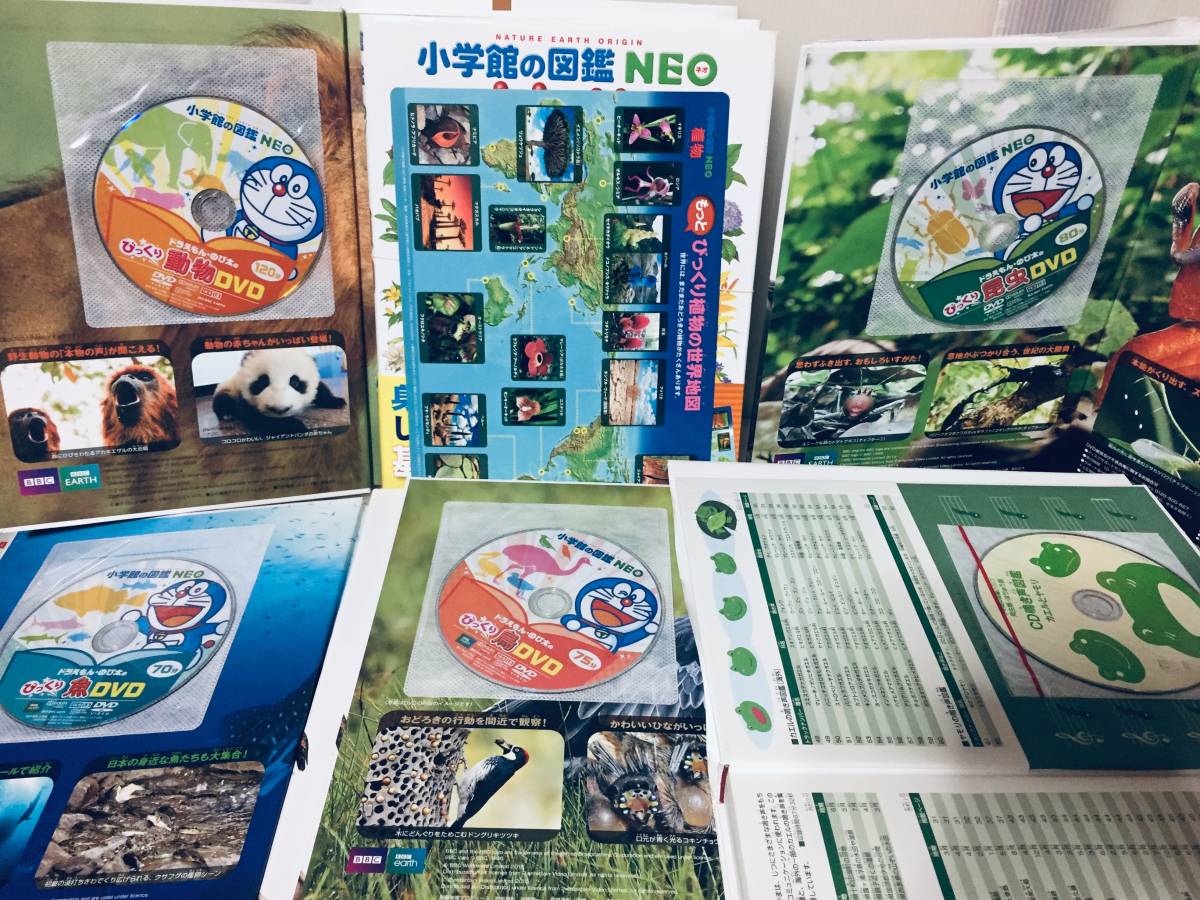 小学館の図鑑NEO 小学館の図鑑NEO 1~17巻 DVD付きあり 17冊 小学館の図鑑NEO 小学館の図鑑NEO 1~17巻 DVD付きあり 17冊