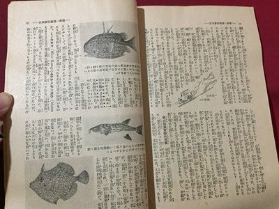 ｓ◆　戦前　農村之日本　昭和8年12月号　台所改善特集号　日本農村協会出版部　昭和　当時物　古書　 / N29_画像5