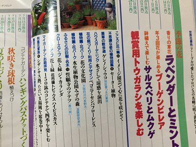 ｓ◆　1997年　NHK 趣味の園芸 7月号　ラベンダーとミント　ブーゲンビリア 他　日本放送出版局　書籍のみ　書籍　雑誌　/M97上_画像2