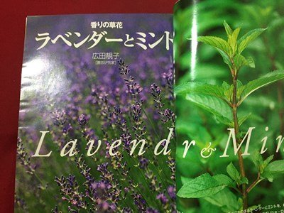 ｓ◆　1997年　NHK 趣味の園芸 7月号　ラベンダーとミント　ブーゲンビリア 他　日本放送出版局　書籍のみ　書籍　雑誌　/M97上_画像4