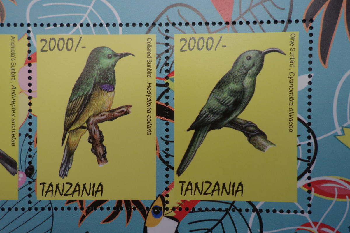 外国切手：タンザニア切手「アフリカのタイヨウチョウ」 （アカフサコバシタイヨウチョウ ほか）4種ｍ/ｓ　未使用_画像3