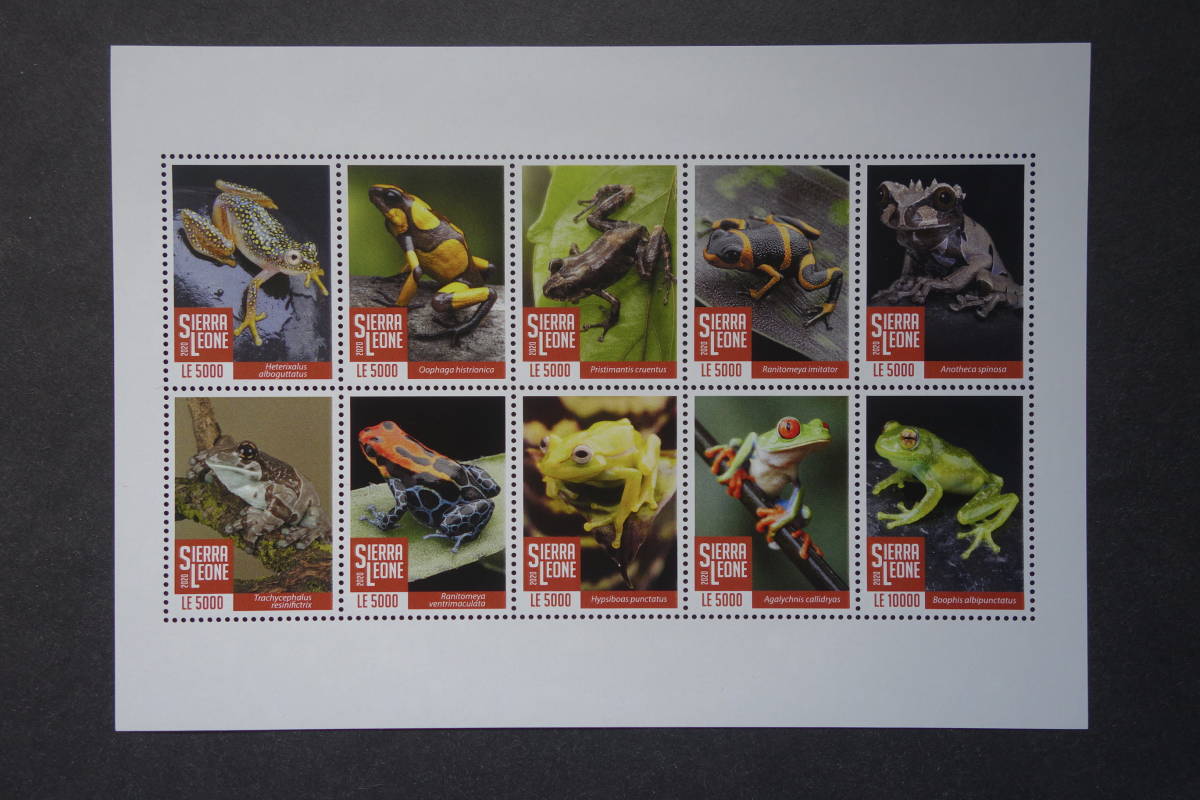  foreign stamp : Sierra Leo ne stamp [ frog ] 10 kind m/s unused 