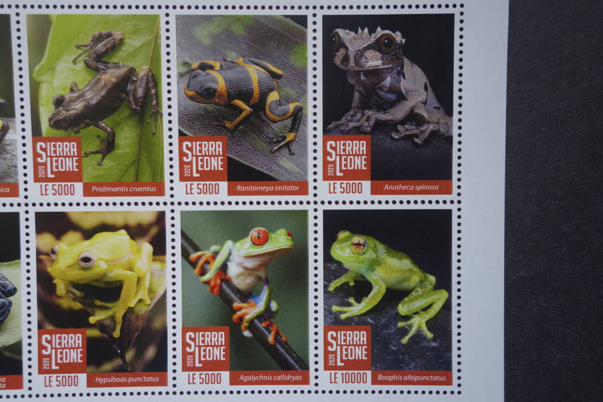  foreign stamp : Sierra Leo ne stamp [ frog ] 10 kind m/s unused 
