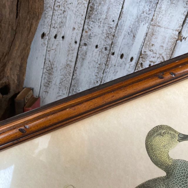 イタリア ヴィンテージ ウッドフレーム ダック アートパネル 木枠 額装 鴨 かも カモ 絵 壁 飾り 伊 アンティーク ビンテージ 洋館 古道具の画像6