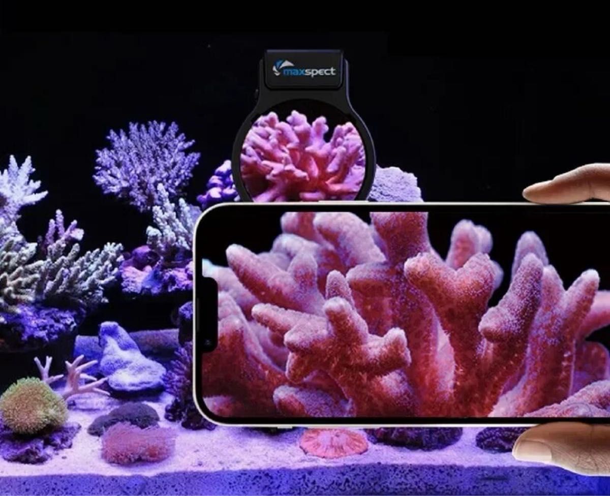 新品 Maxspect マックススペクト 拡大ビューアーレンズ ブルーライトカットフィルターレンズ2種 撮影 アクアリウム サンゴ