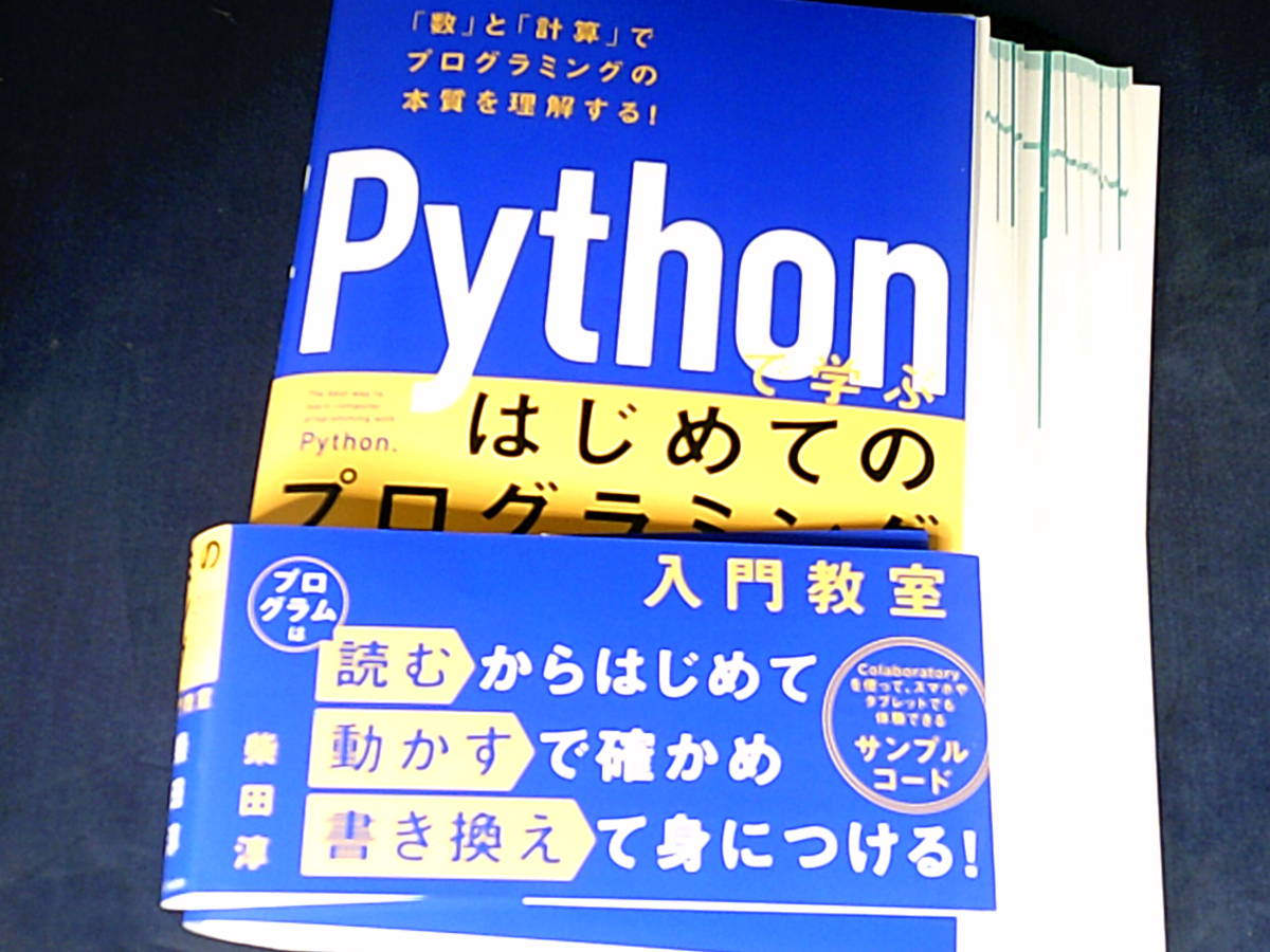 【裁断済】Pythonで学ぶ　はじめてのプログラミング入門教室【送料込】_画像2
