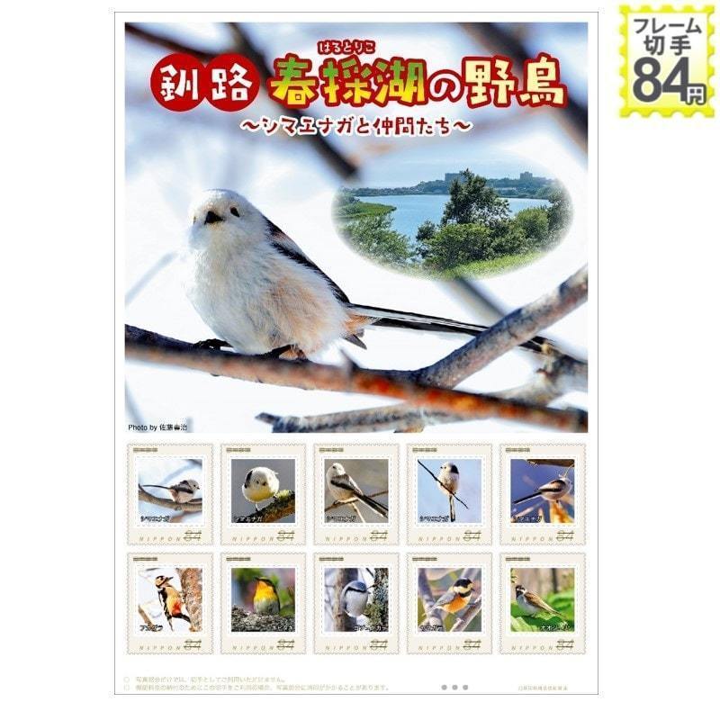 未開封新品/北海道釧路市限定/フレーム切手「釧路 春採湖の野鳥~シマエナガと仲間たち~」アカゲラ/ヤマガラ/はるとりこ/84円記念切手の画像4