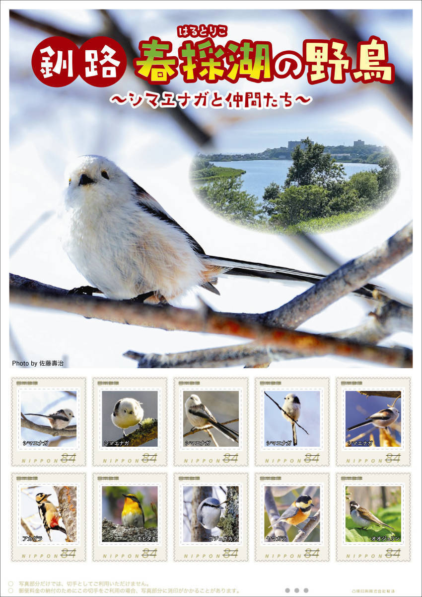 未開封新品/北海道釧路市限定/フレーム切手「釧路 春採湖の野鳥~シマエナガと仲間たち~」アカゲラ/ヤマガラ/はるとりこ/84円記念切手の画像1