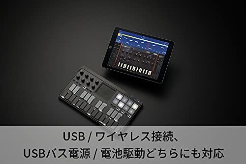 KORG standard USB/ wireless all-in-one mobile MIDI keyboard nanoKEY Studio music creation DTM A