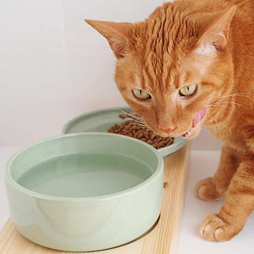 aukatz（オーカッツ）ヘルスウォーターボウルＭサイズ水飲み用の猫食器 犬 ペット陶器製食器のお椀 お皿_画像6