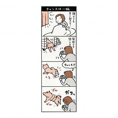 2024年 柴犬さんのツボカレンダー No.090_画像6
