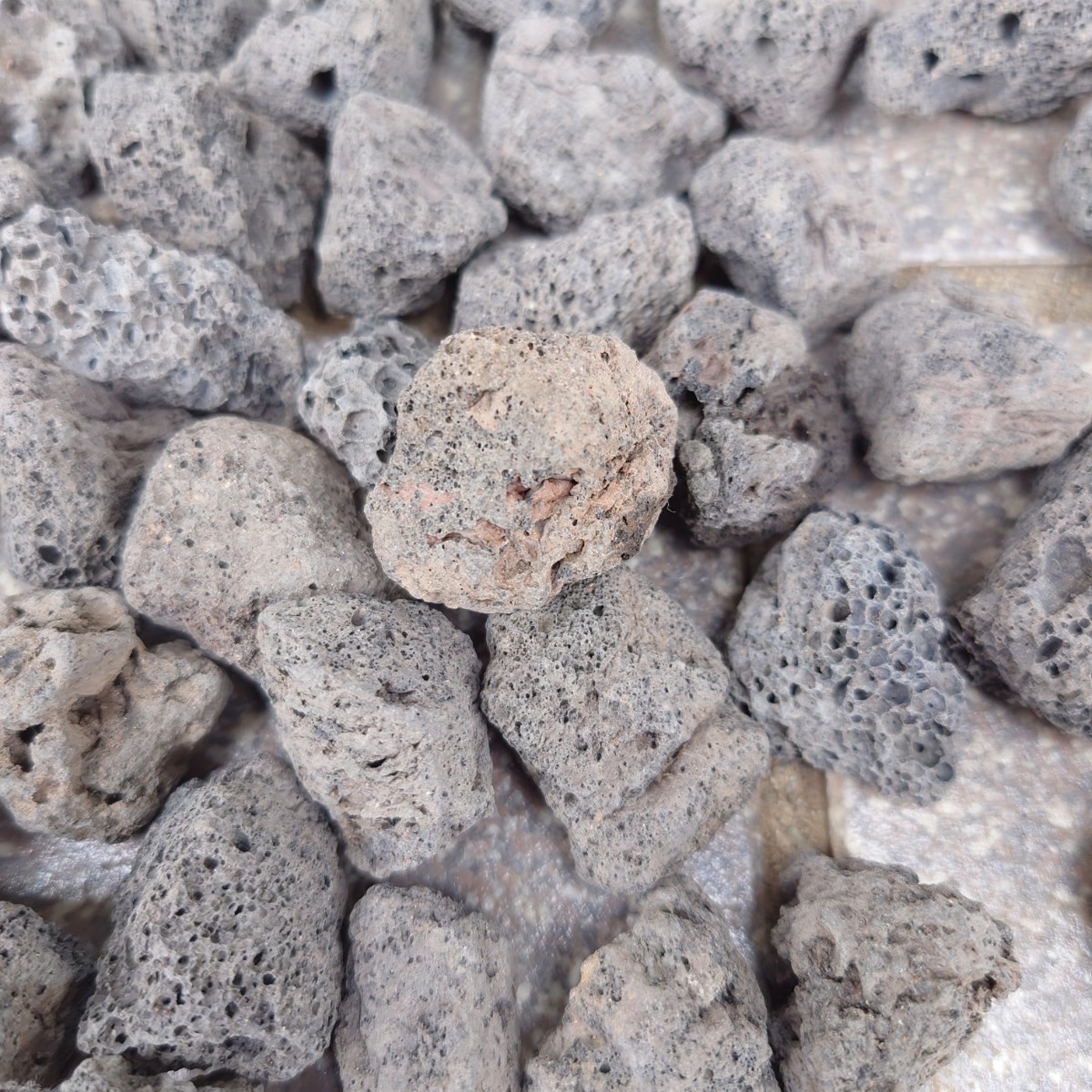【アウトレット品】黒溶岩石 100個 (1.5〜3cmほどの大きさ)_画像8