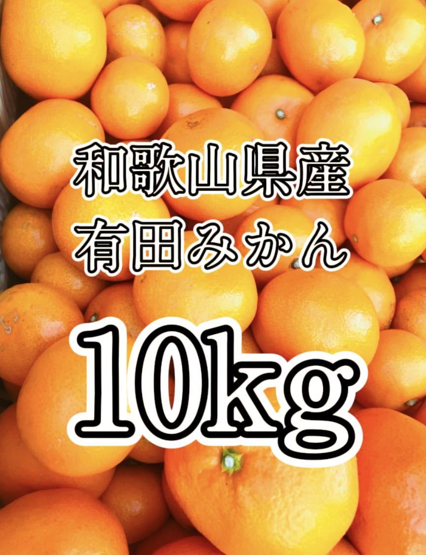 ☆309 格安 和歌山県産 有田みかん 10kg 即日発送 産地直送 MLサイズ 早生みかん 甘い 美味しい みかん 早生_画像1