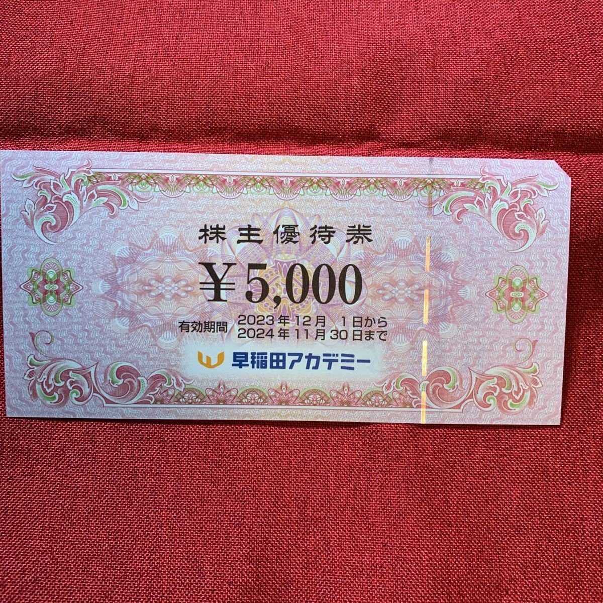 ゆうパケット送料無料早稲田アカデミー株主優待券5000円×4枚　20241130 _画像1