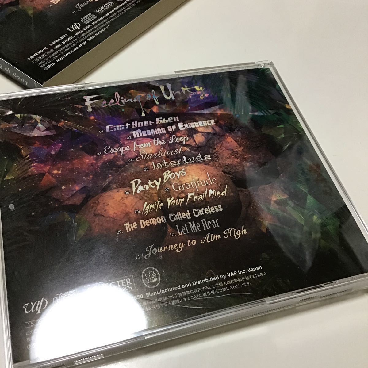 Feeling of Unity」 Fear,and Loathing in Las Vegas 定価: ￥ 2500_画像4