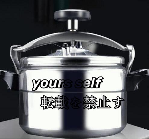  practical use * safety explosion proof direct fire pressure cooker business use pressure cooker stainless steel high capacity pressure cooker business use home use 15L