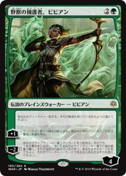 MTG　野獣の擁護者、ビビアン　在庫日2枚まで　灯争大戦　WAR　★他多数出品中_画像1