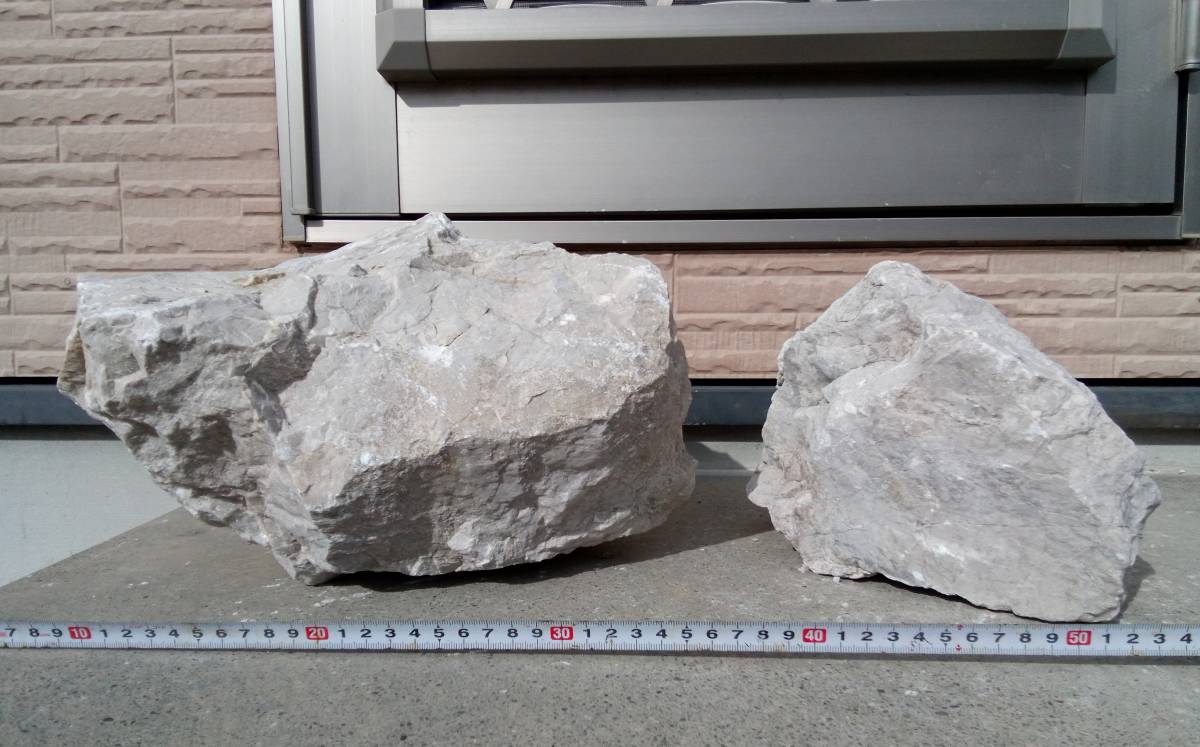 【特大・希少】　石灰岩　約22kg前後　アフリカンシクリッド等に　B_画像6