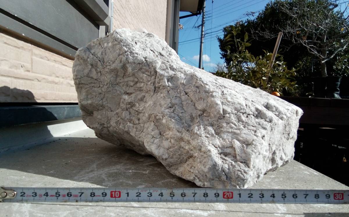 【超特大・希少】 石灰岩 約26kg前後 アフリカンシクリッド等に の画像4