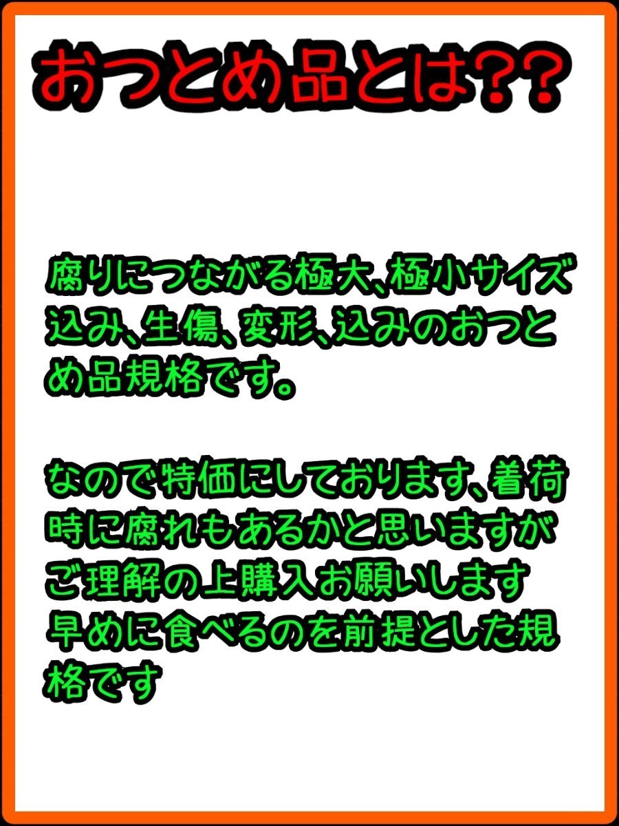 ESC愛媛県中島産みかんおつとめ品9.5㎏fm②_画像2