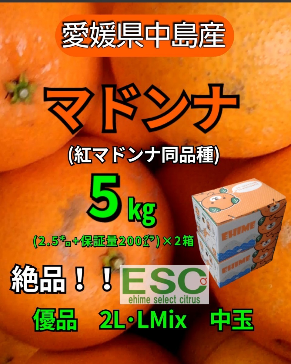 送料込！！愛媛県中島産マドンナ（紅マドンナ同品種）優品2L・L混合中玉5ｋｇ(2.5ｋｇ＋保証量200ｇ)×2箱①_画像1