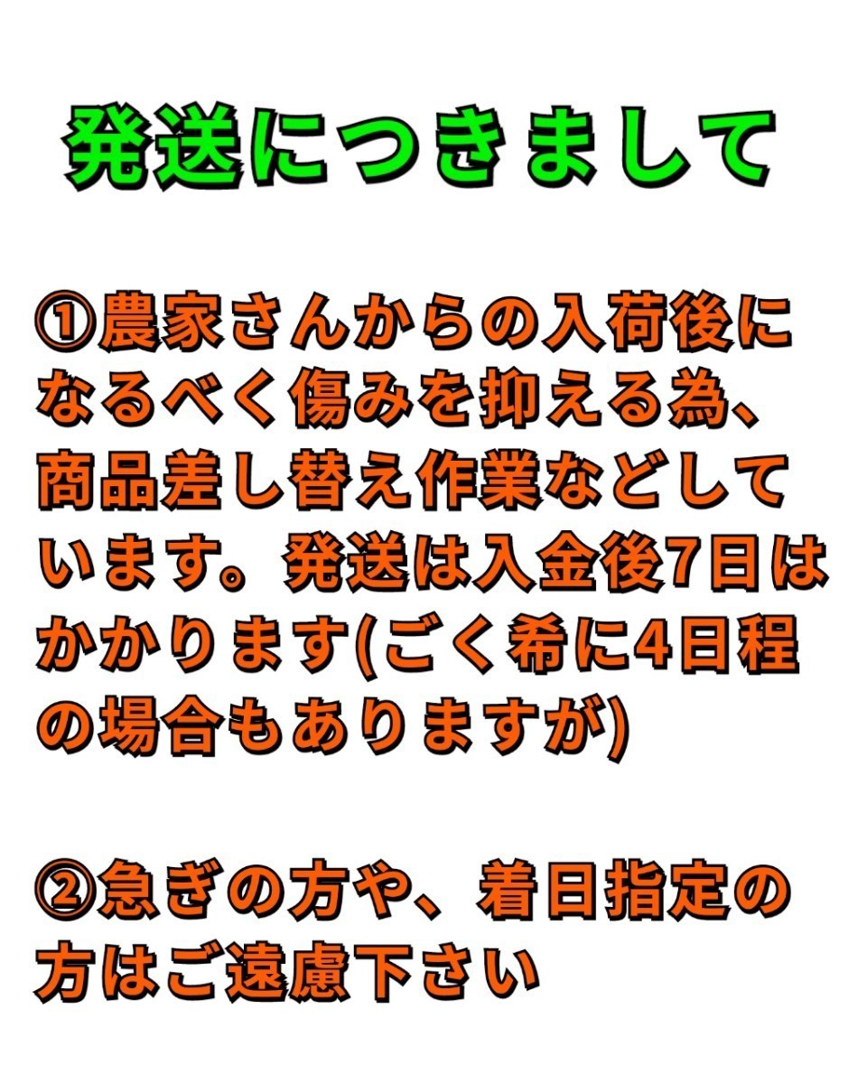 送料込！！愛媛県中島産マドンナ（紅マドンナ同品種）優品2L・L混合中玉5ｋｇ(2.5ｋｇ＋保証量200ｇ)×2箱①_画像9