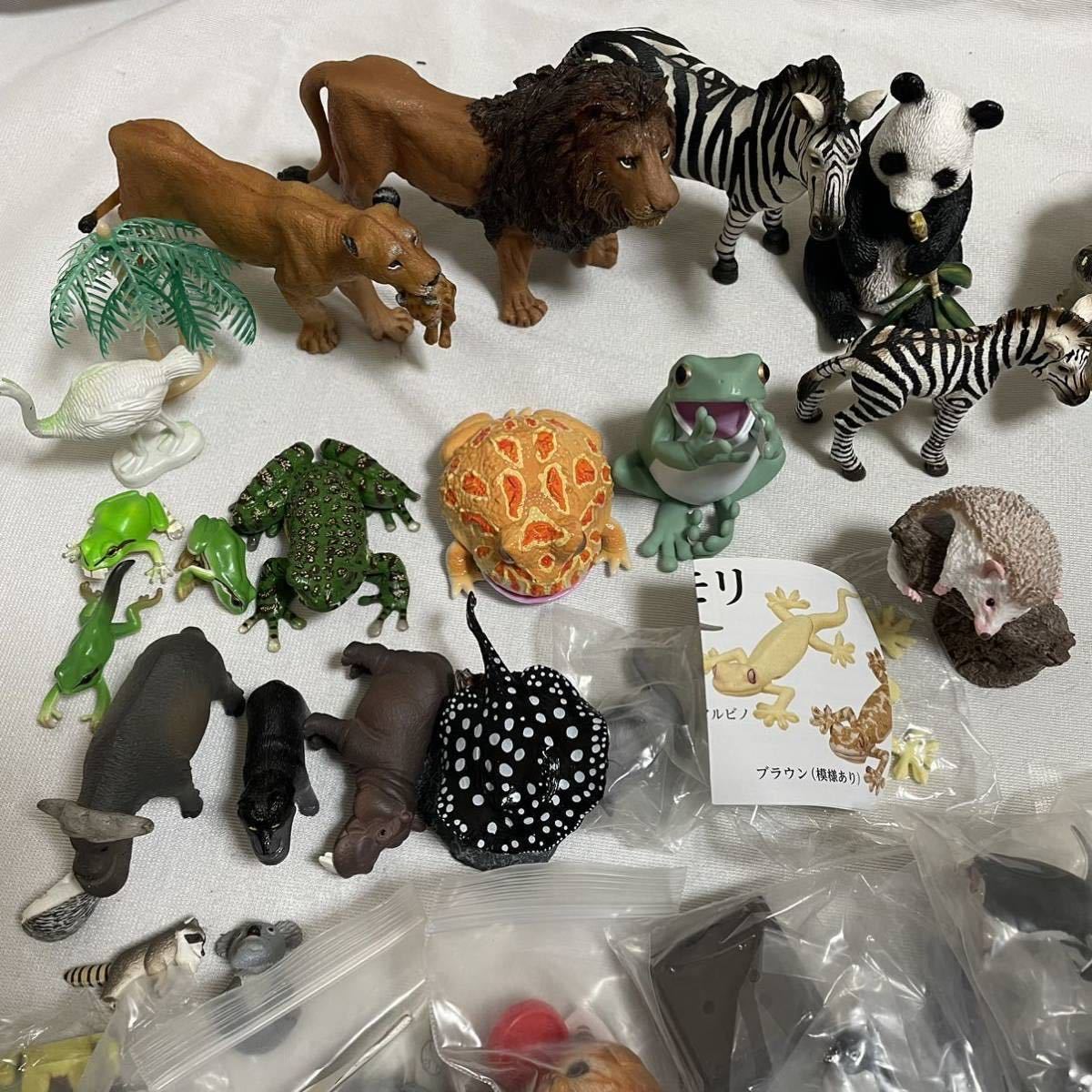 J 動物 恐竜 昆虫 生物 シュライヒ Schleich PAPO いきもの大図鑑 等 フィギュア まとめ売り ジャンク 1130120203_画像2