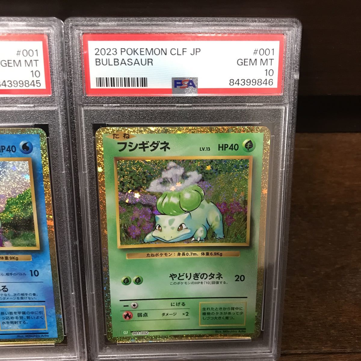 【PSA鑑定品】ポケモンカードclassic 幼体御三家3枚セット（ヒトカゲ、ゼニガメ、フシギダネ） PSA10、PSA9_画像4