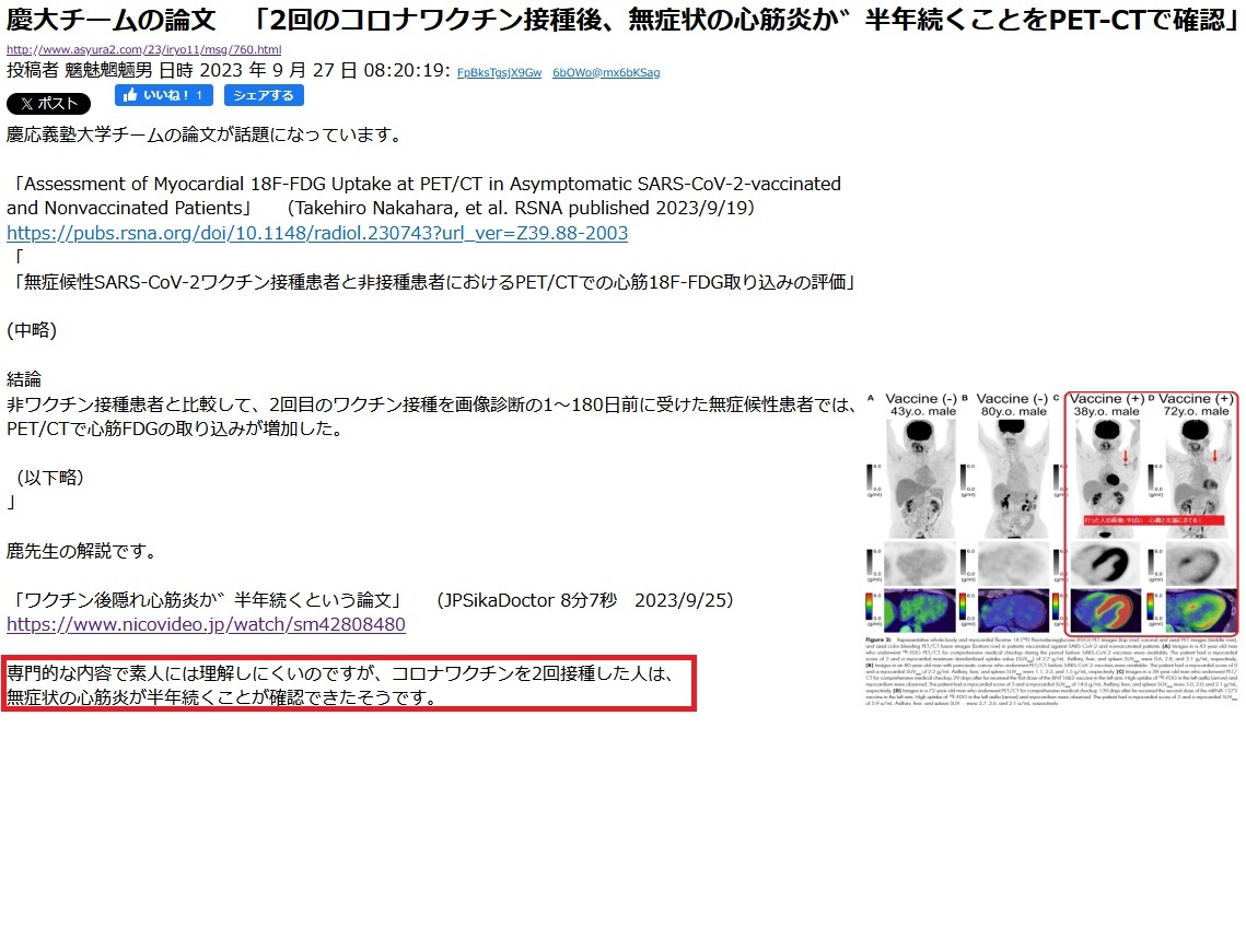 37 コロナワクチンチラシA+B ワクチン死 免疫破壊と癌 緊急事態条項 40枚 XBB対応ワクチン グリホサート 原発 パンデミック条約 静2動_画像5