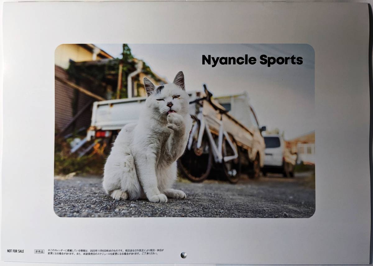 Cycle Sports／サイクルスポーツ 2024年 1月号　かわいい猫ちゃんのカレンダー付録_画像4