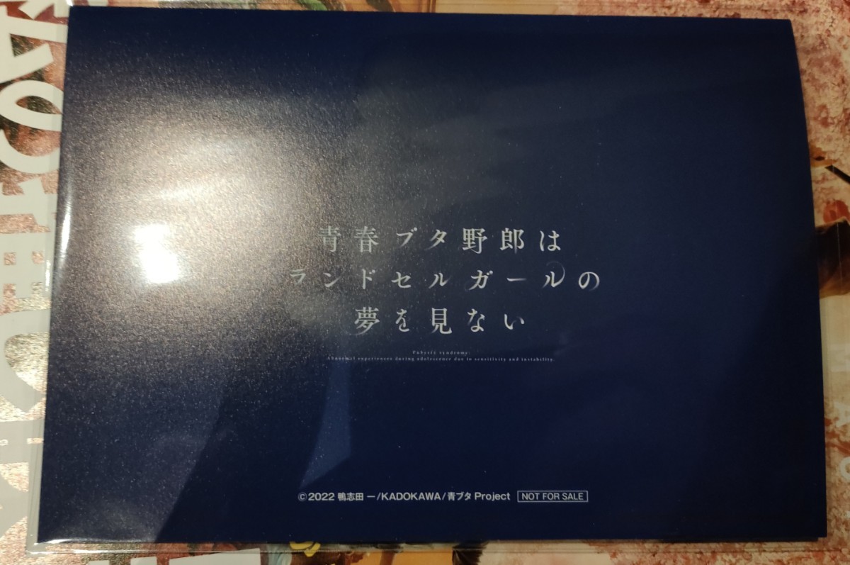 送料無料 映画 青春ブタ野郎はランドセルガールの夢を見ない 送料無料 映画 青春ブタ野郎はランドセルガールの夢を見ない